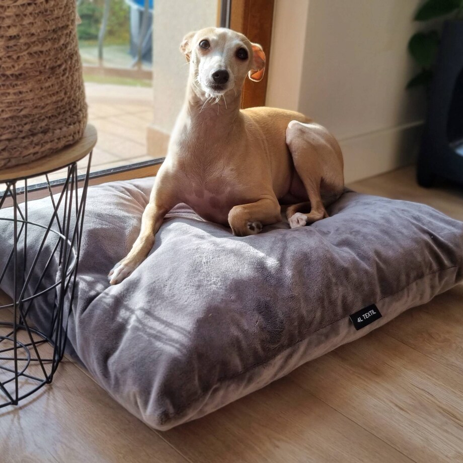 Miękka poduszka dla psa MALIBU, 60x50 cm, Grafit