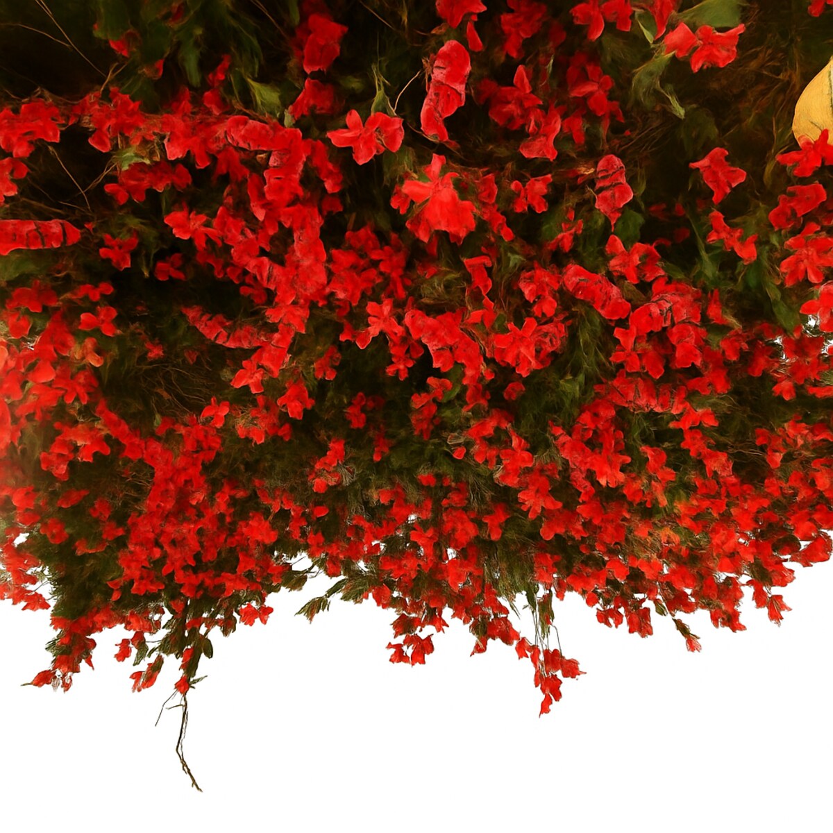 Instalacja kwiatowa na sufit, ścianę 10m2