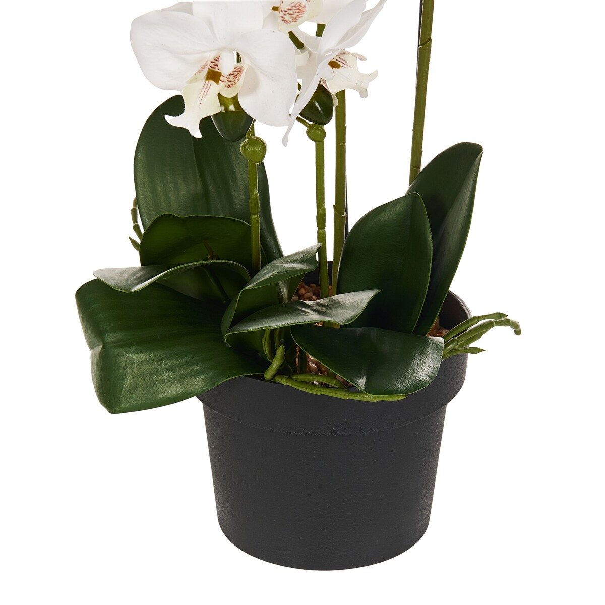 Sztuczna roślina ORCHID 65 cm Biały