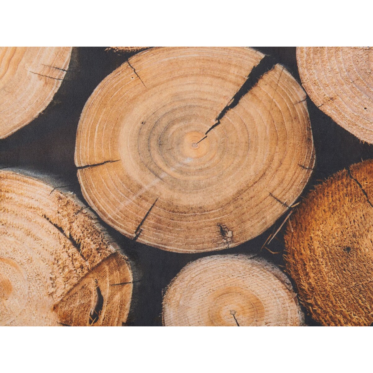 Dywan 80 x 150 cm motyw drewna KARDERE