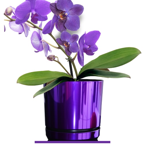 18 cm wzór FIOLETOWY BŁYSZCZĄCY Doniczka z podstawką glamour wysoki połysk metaliczny wrzosy lawenda krokusy storczyk orchidea