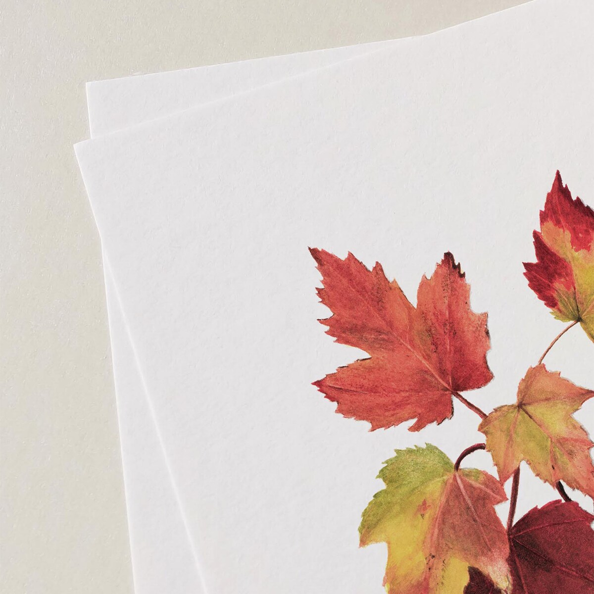 Plakat Jesienne liście #3 21x30cm