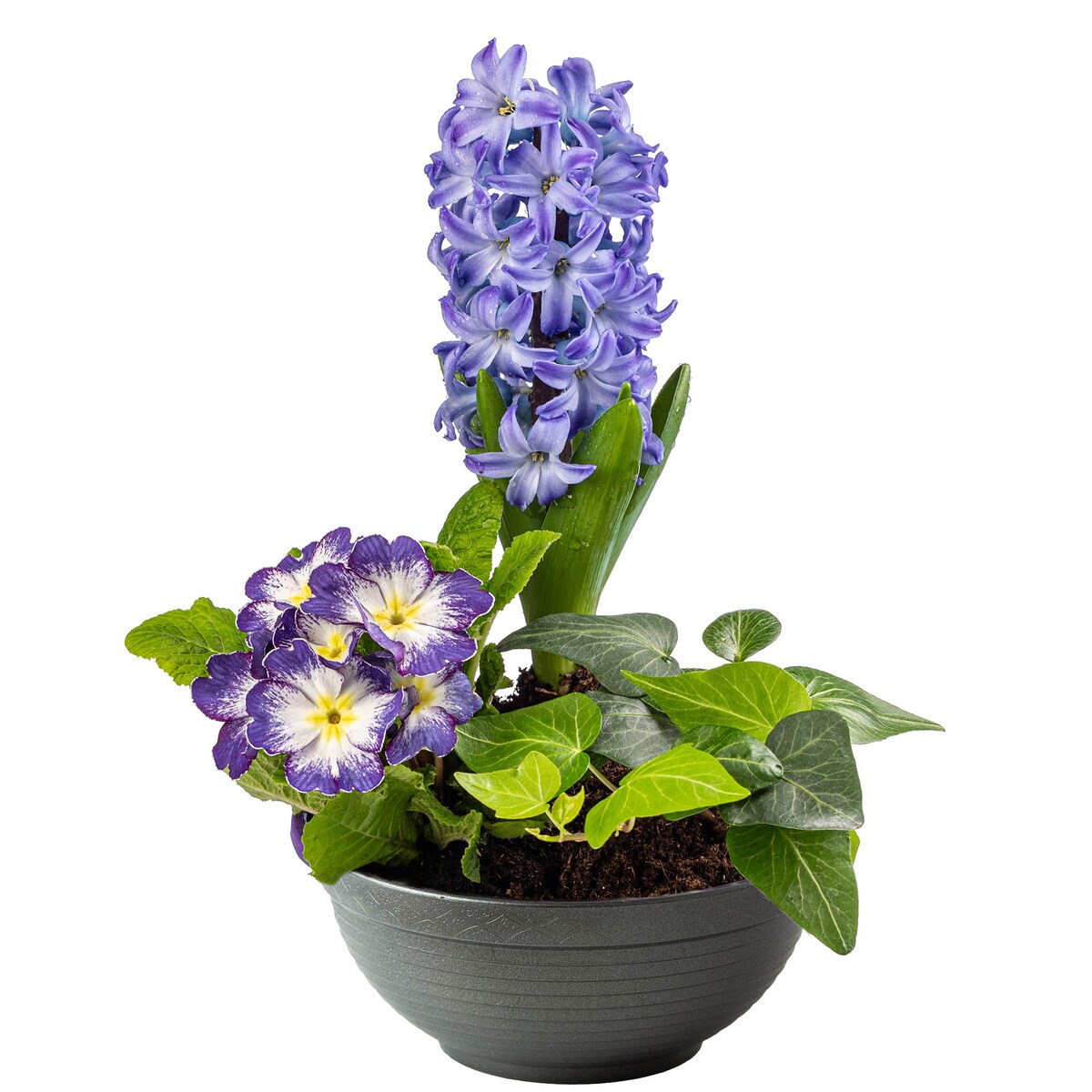 3X Donica Na Kwiaty Zestaw 26/30/34 Cm Wrzosy Stroik Doniczka Misa Do Ogrodu Domu