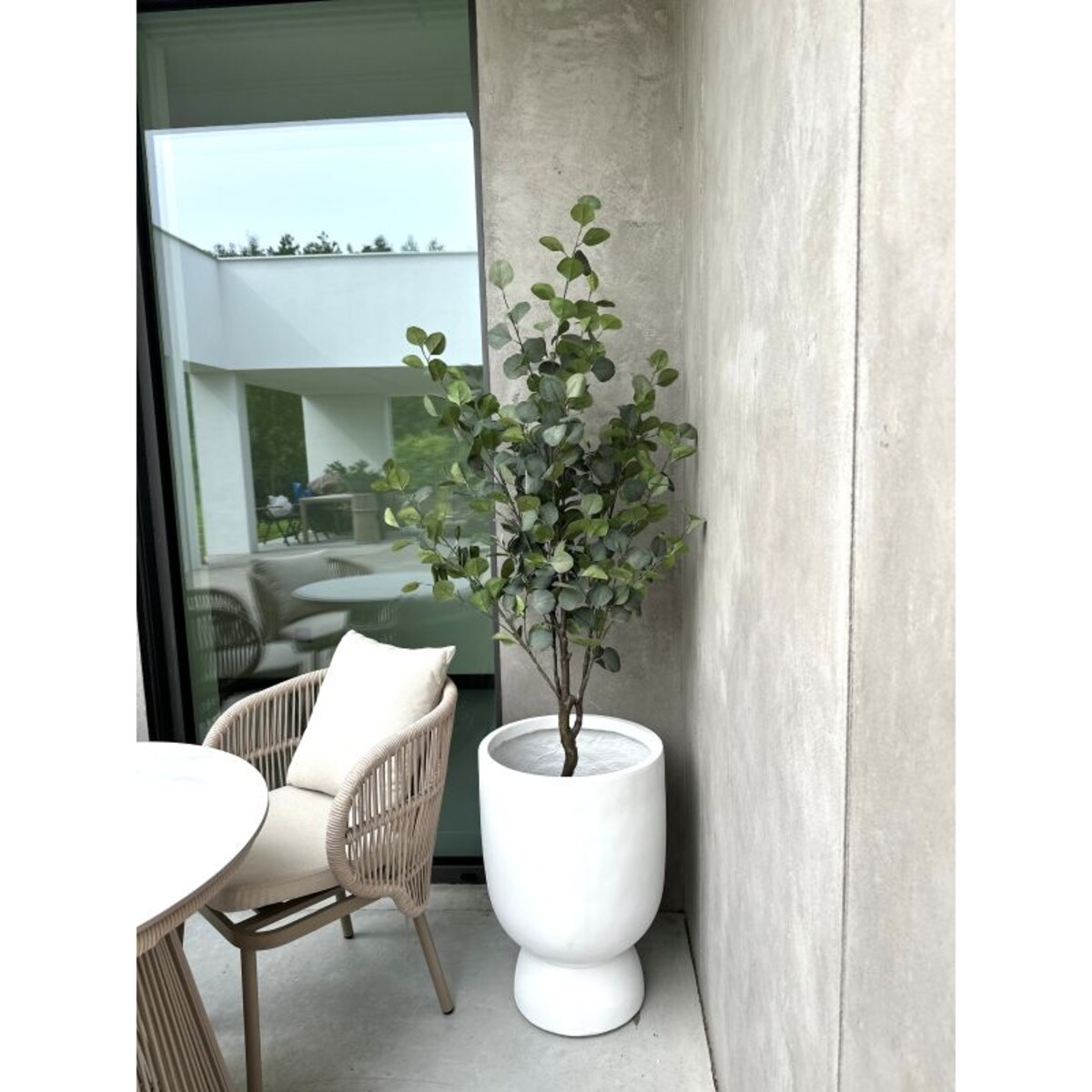 DRZEWKO EUKALIPTUSOWE 150 cm