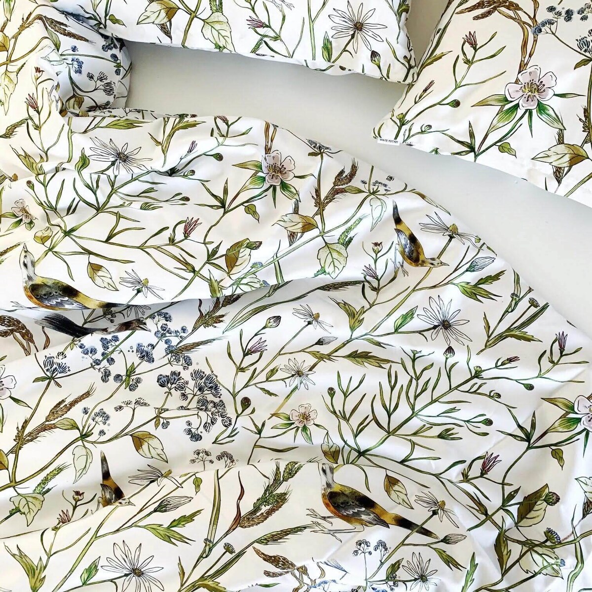 Pościel Ptasie radio 220/200 + 2 x 50/60 cm