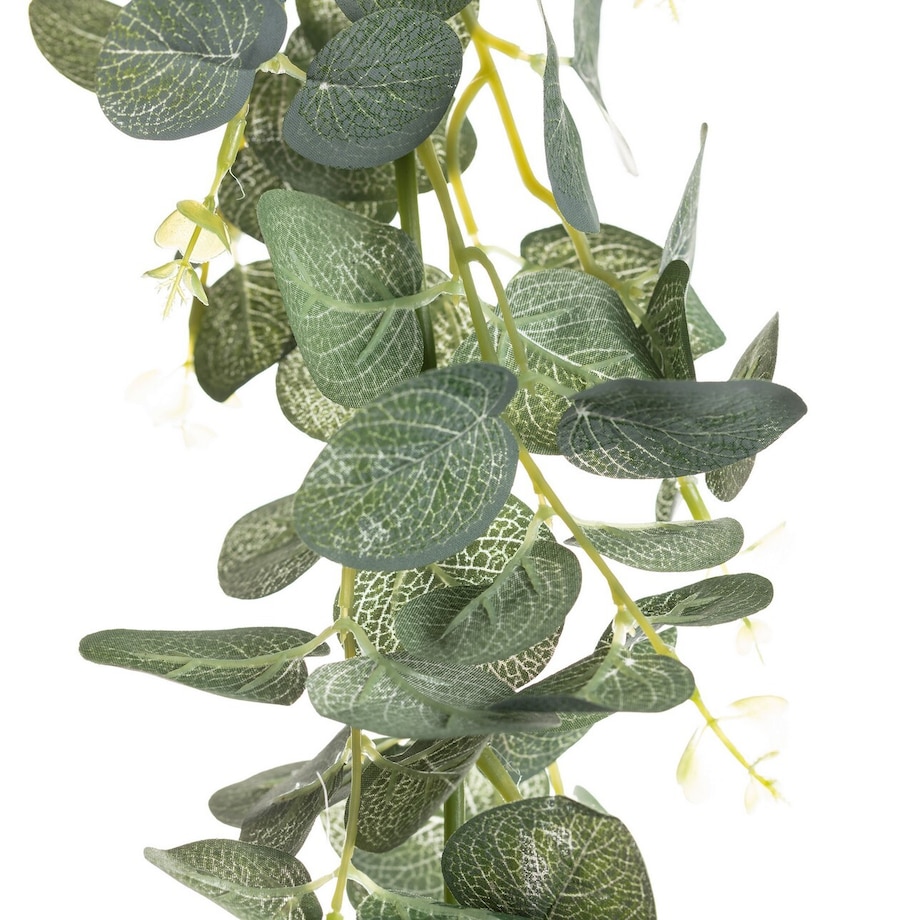 Gałązka Eukaliptusa 75cm wisząca, 10 x 5 x 75 cm