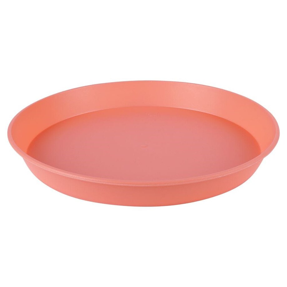 Zestaw talerzy koloroweych 6x22,5cm wielorazowych plastikowych dla dzieci