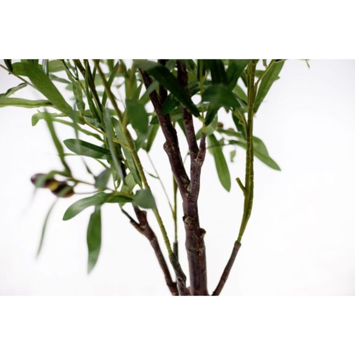 DRZEWKO OLIWNE 120 cm
