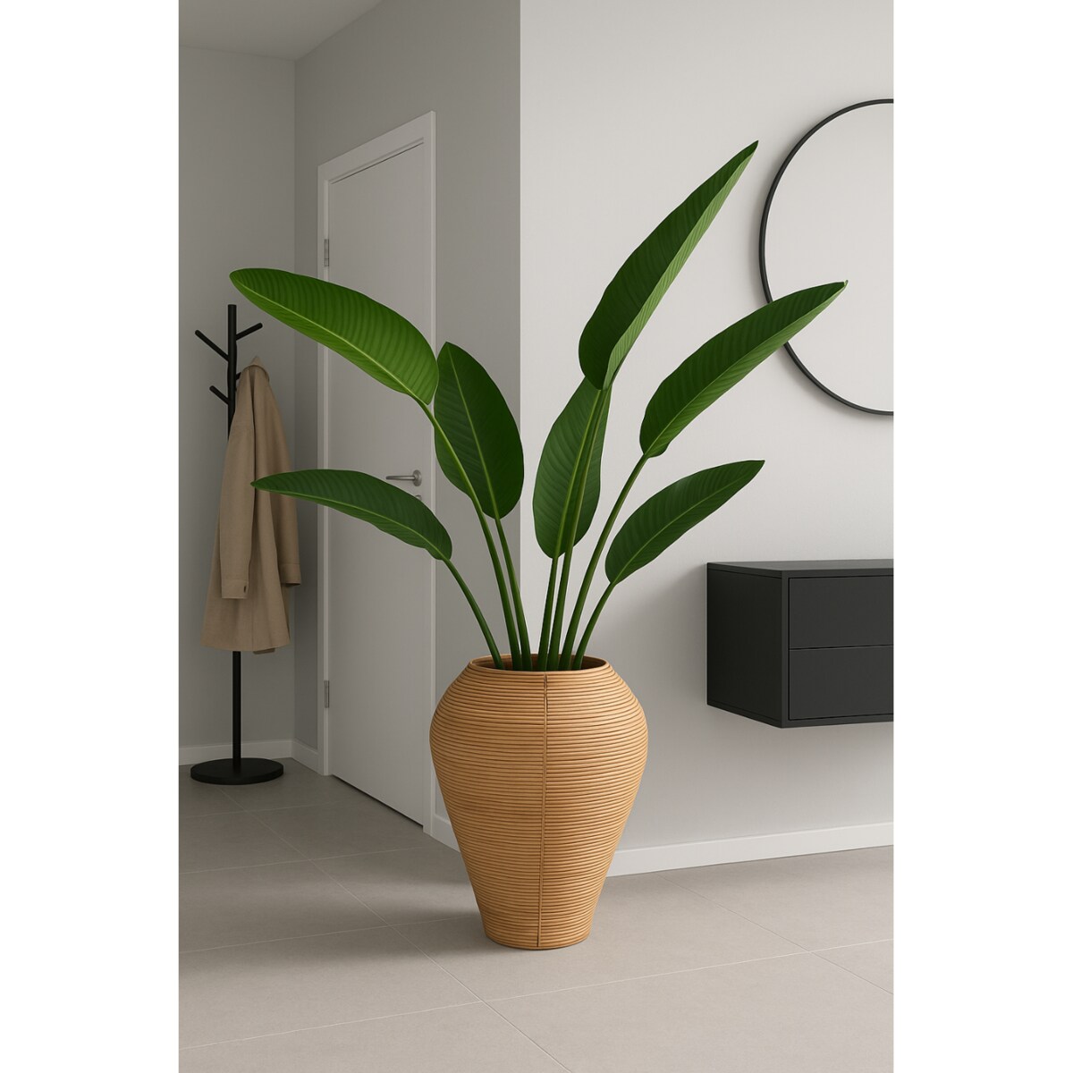 WAZON NICOLAS NATURALNY