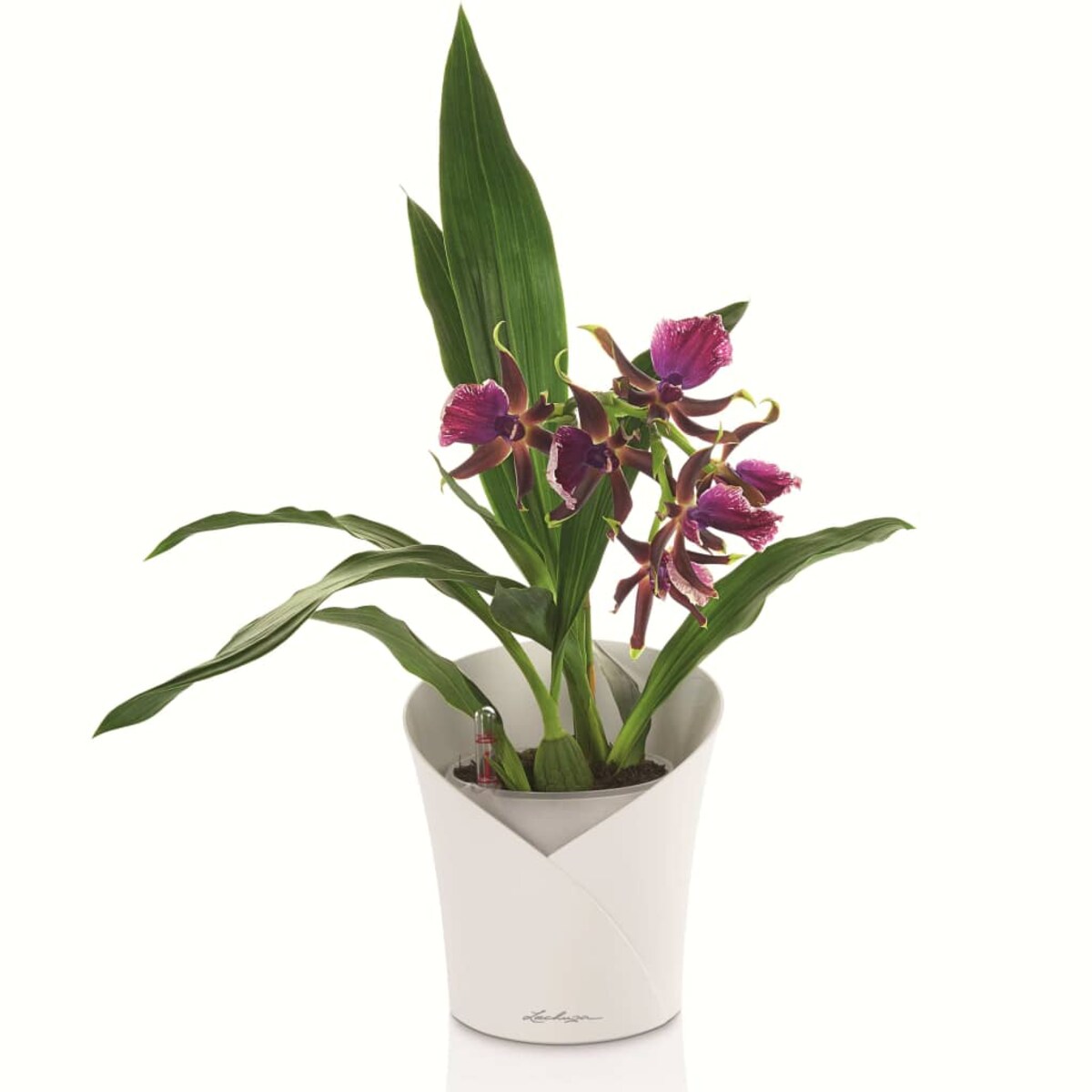 LECHUZA Donica ORCHIDEA ALL-IN-ONE, kolor biały matowy