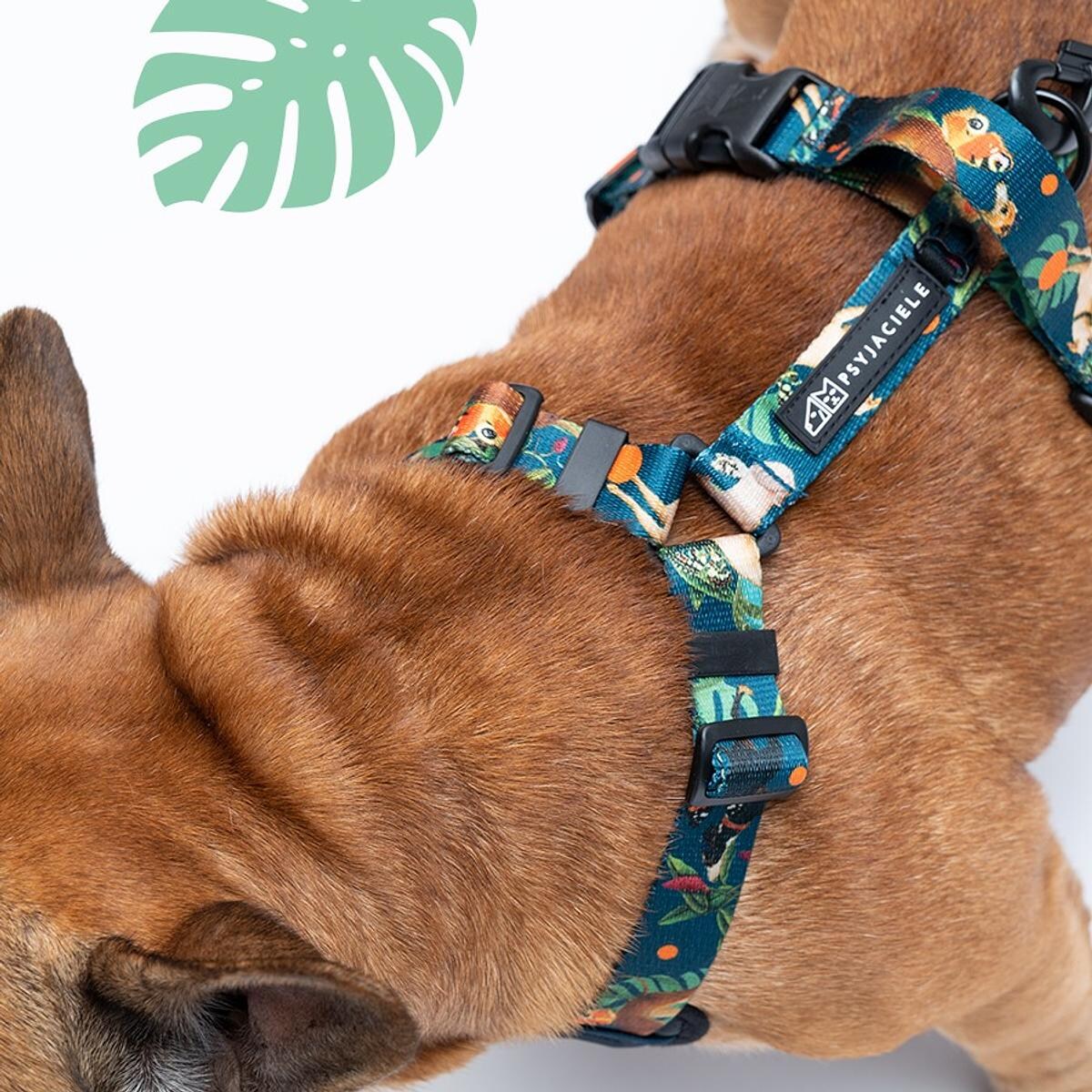 Szelki bezuciskowe dla psa lub kota "Psikolaż" - Szerokość taśmy: 38mm, Rozmiar: L