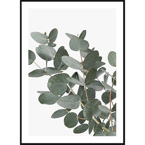 Poster Story, Plakat, Obraz - Listki Eukaliptusa No1, wymiary 70 x 100 cm