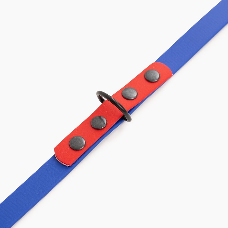 Smycz przepinana Biothane® dla psa lub kota "Indygo with Red" - Rozmiar: M, Szerokość taśmy: 16mm