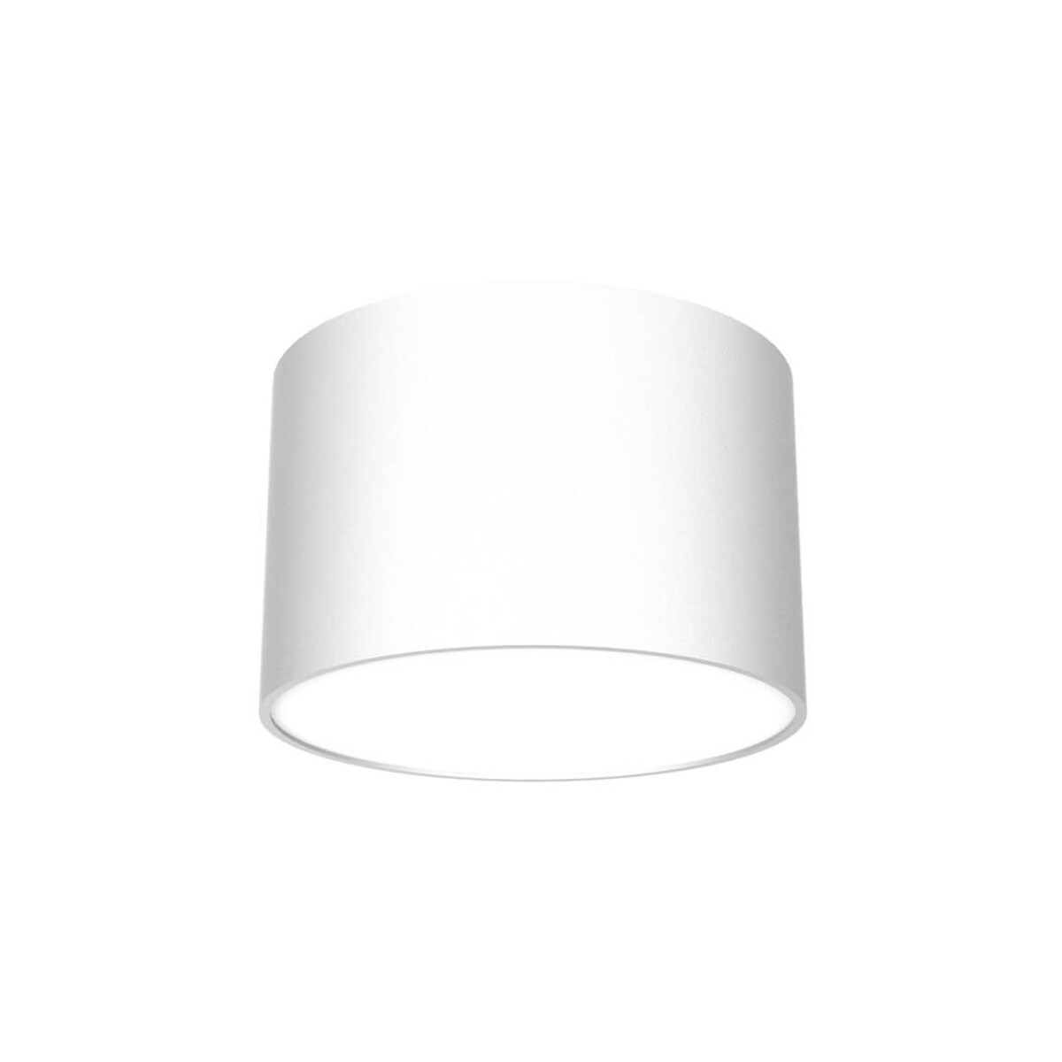 Pokojowa lampa sufitowa Dixie do przedpokoju loft biała