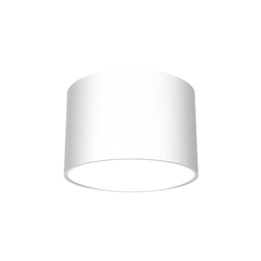Pokojowa lampa sufitowa Dixie do przedpokoju loft biała