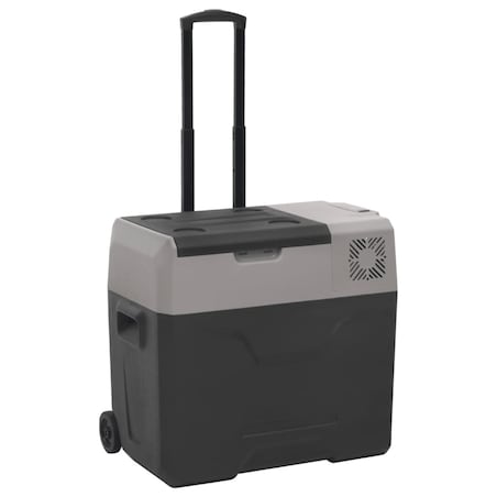 vidaXL Lodówka na kółkach, z zasilaczem, czarno-szara, 40 L, PP