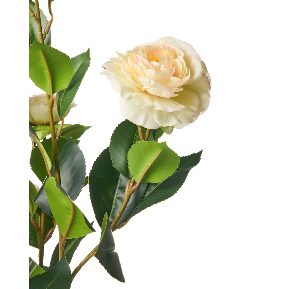 Sztuczna roślina CAMELLIA 60 cm Zielony