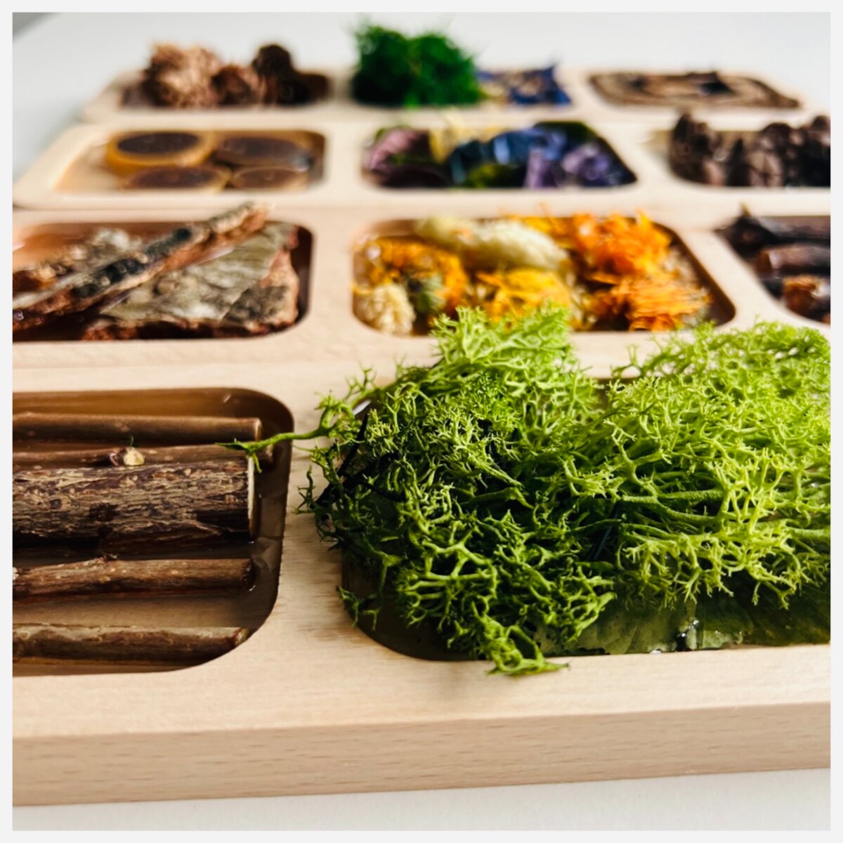 Dyski sensoryczne LEŚNA ŚCIEŻKA