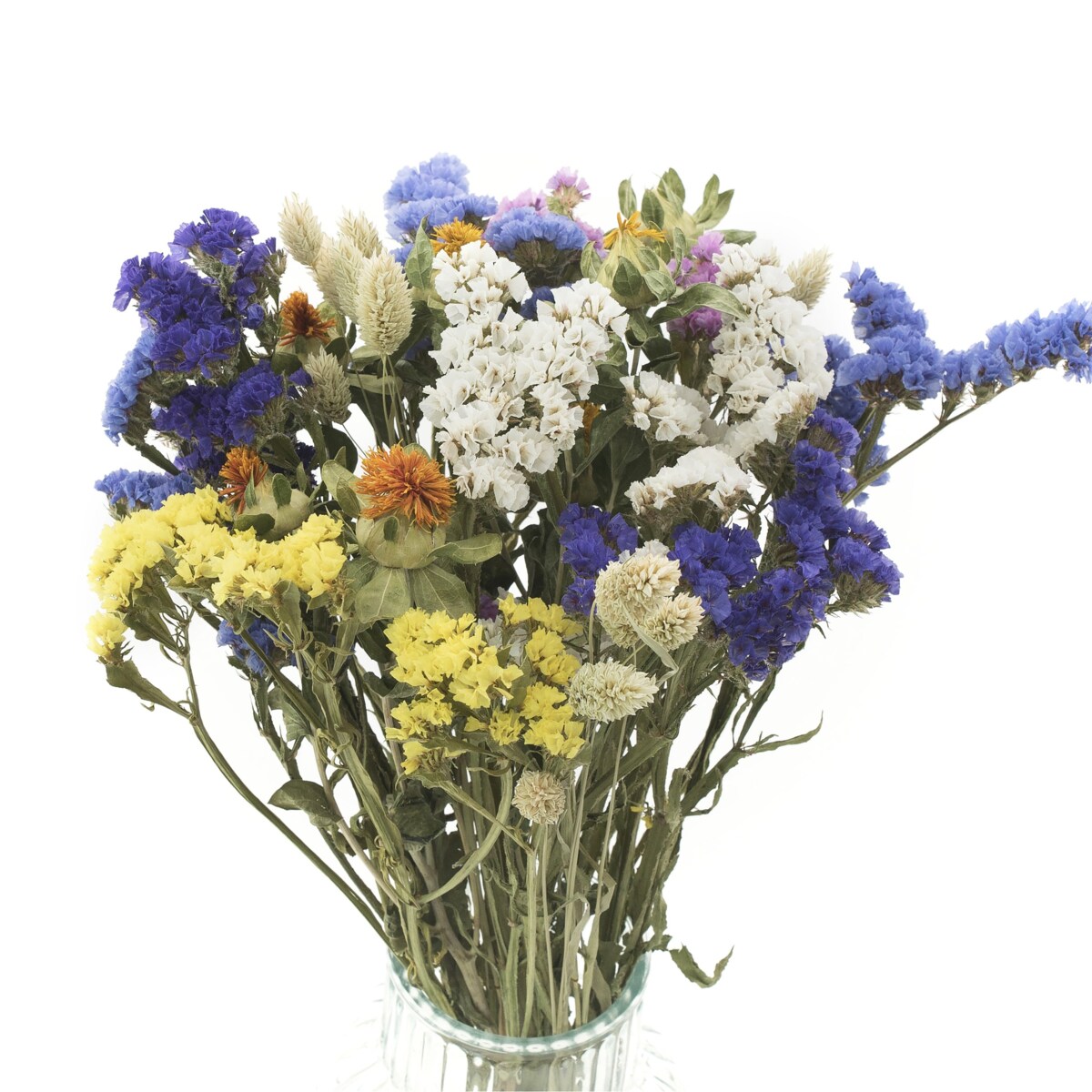 Zestaw Suszonyuch Kwiatów Meadow