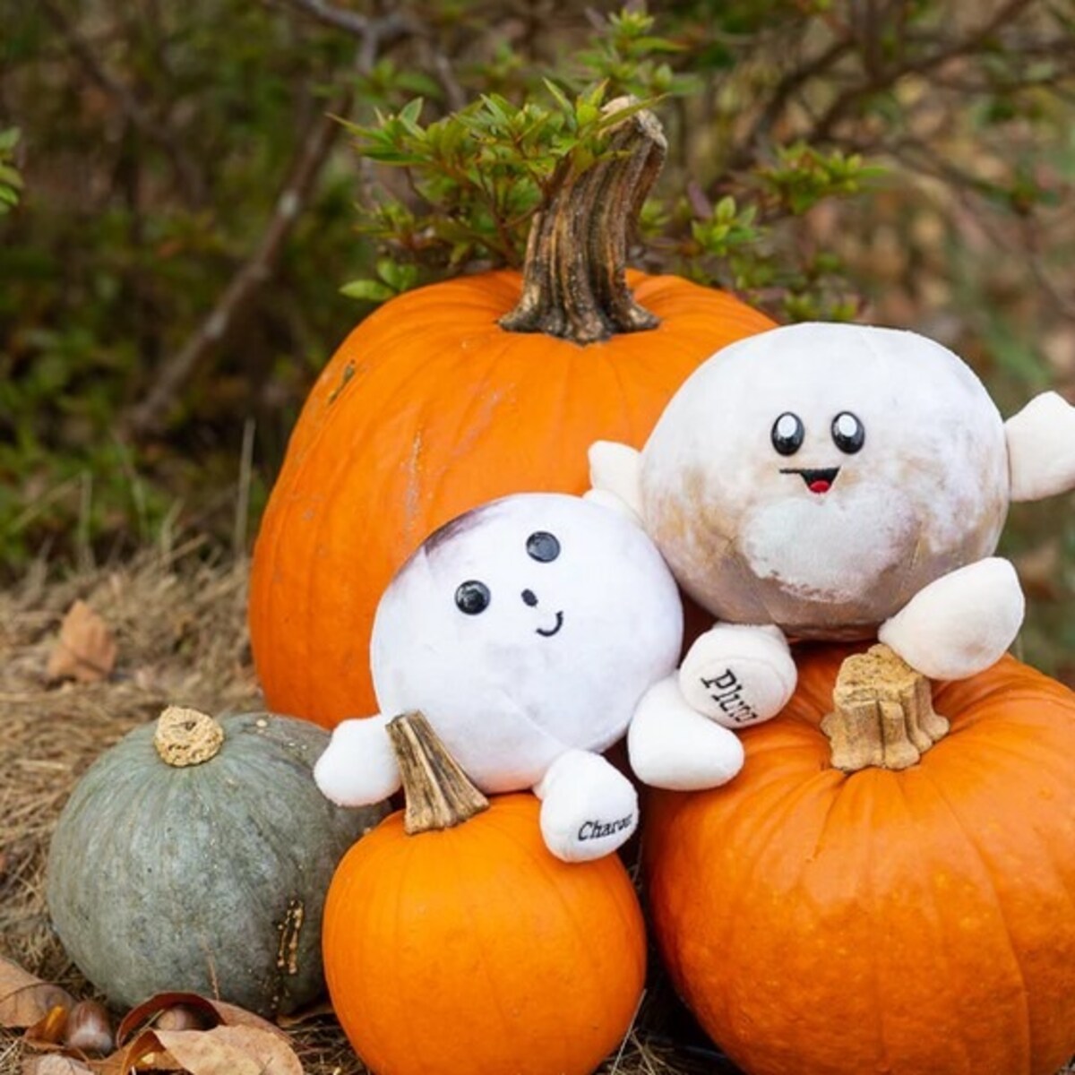 Pluszowe planety - Pluton i Księżyc Charon