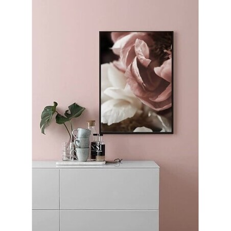 Poster Story, Plakat, Obraz - Piwonie Białe i Pudrowe w Rozkwicie No4, wymiary 42 x 60 cm