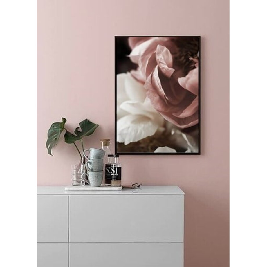 Poster Story, Plakat, Obraz - Piwonie Białe i Pudrowe w Rozkwicie No4, wymiary 42 x 60 cm