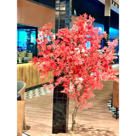 Drzewo klon palmowy z czerwonymi liśćmi na naturalnym pniu 250 cm x 250 cm