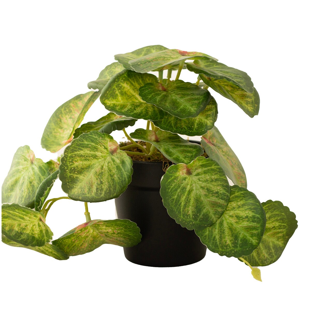 Sztuczna Begonia Zwisająca 17 cm