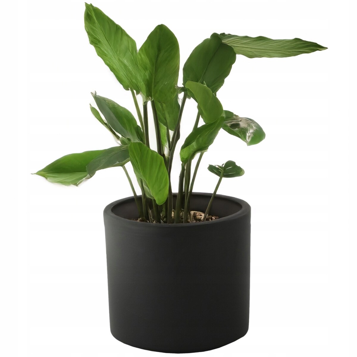 DONICZKA CZARNA 14cm mała ceramiczna mat MARIA na balkon taras do salonu