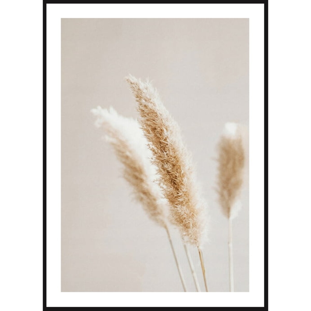 Poster Story, Plakat, Obraz - Suszona Trawa Pampasowa Ecru, wymiary 21 x 30 cm