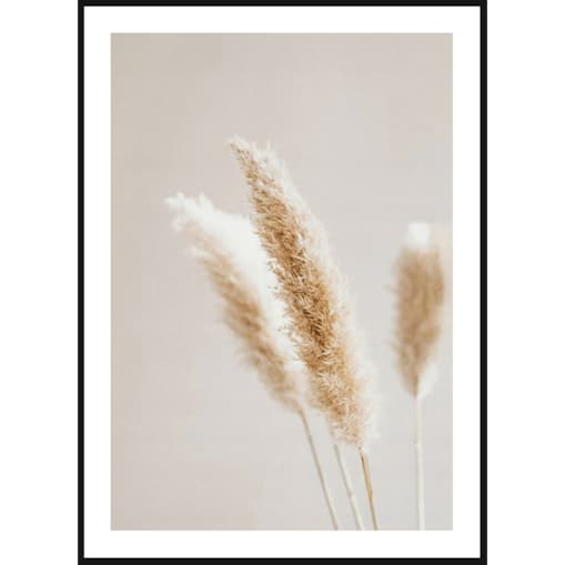 Poster Story, Plakat, Obraz - Suszona Trawa Pampasowa Ecru, wymiary 21 x 30 cm