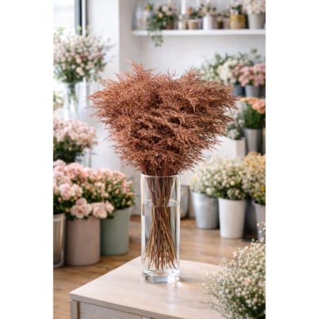 Asparagus Copper – bukiet , 50 szt., wysokość ok. 80 cm, 550–600 g