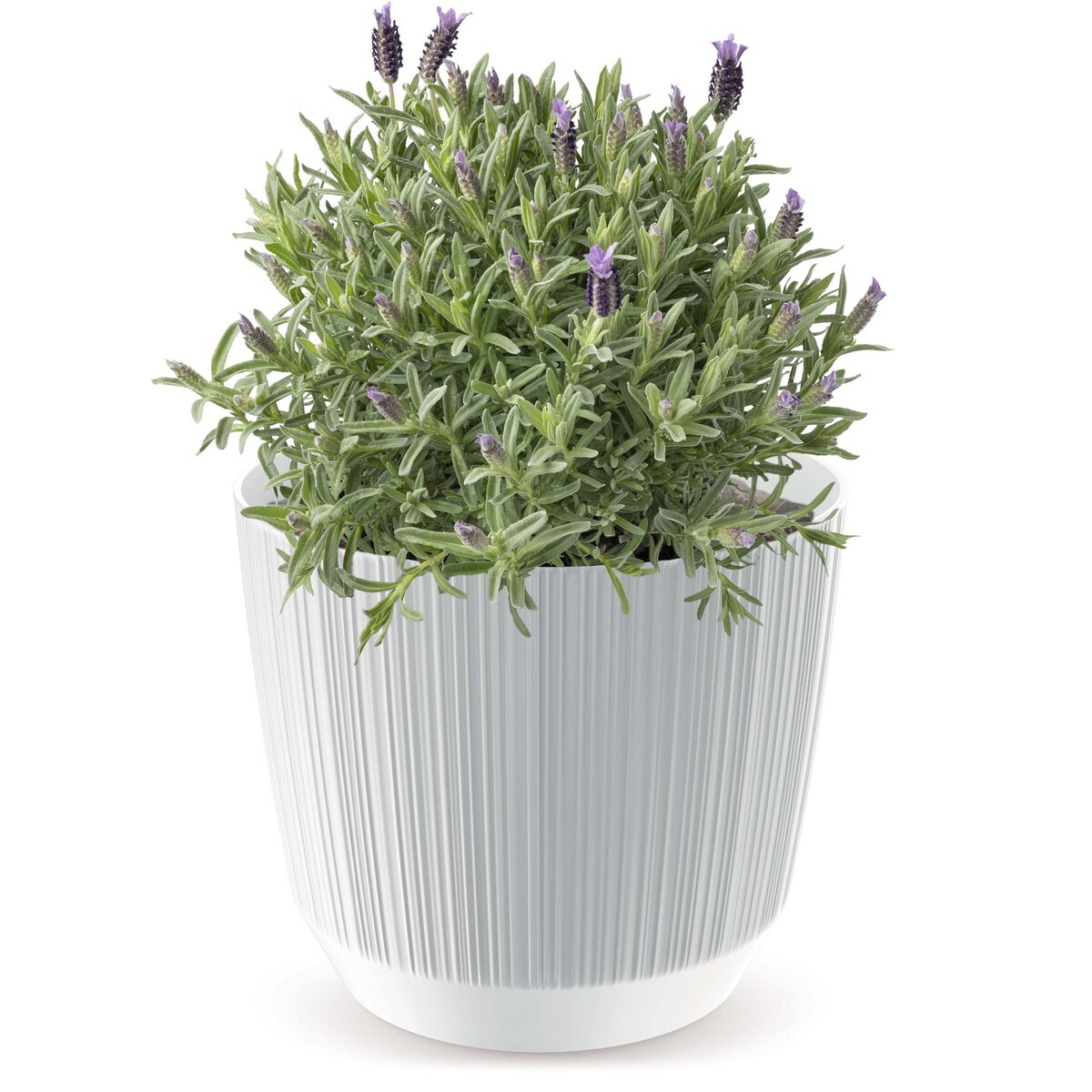 Doniczka Osłonka Domowa 19,5 Cm Ryfo Na Stół Parapet Do Domu Biała