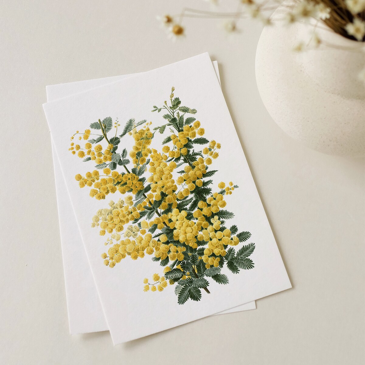 Plakat Mimoza 21x30cm