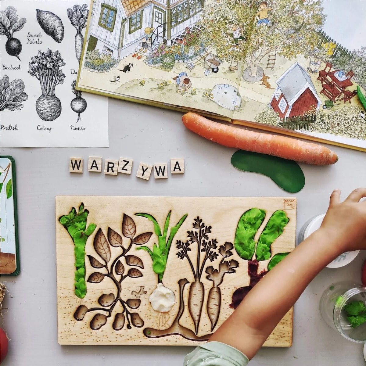 Panel sensoryczny Warzywa