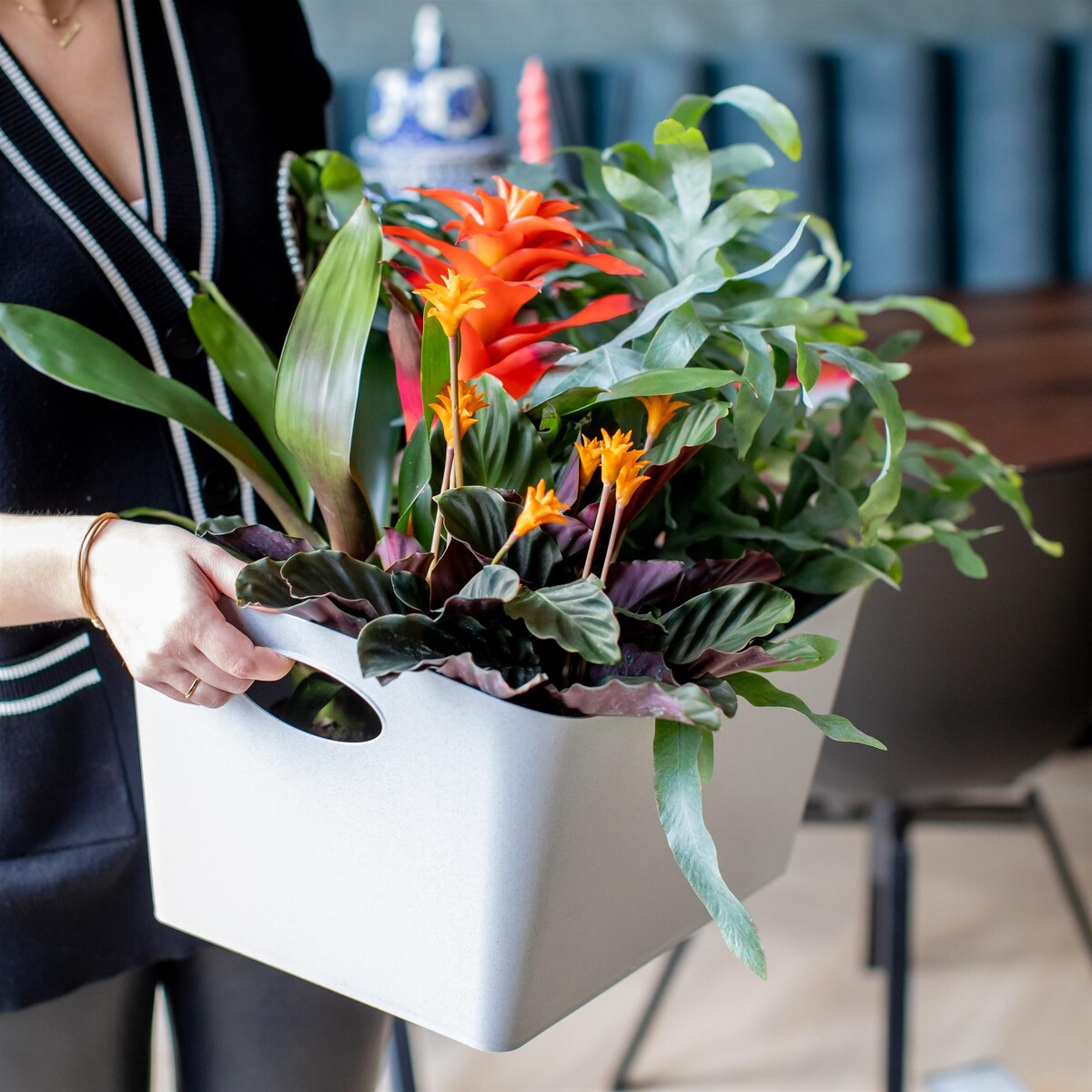 Miska łazienkowa BOXXX, pojemnik, rozmiar M, KOZIOL