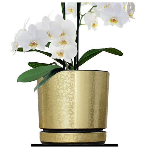 14 cm piękny wzór ZŁOTA KORONKA kobieca motyw artystyczny elegancki glamour ekskluzywna wyrafinowana