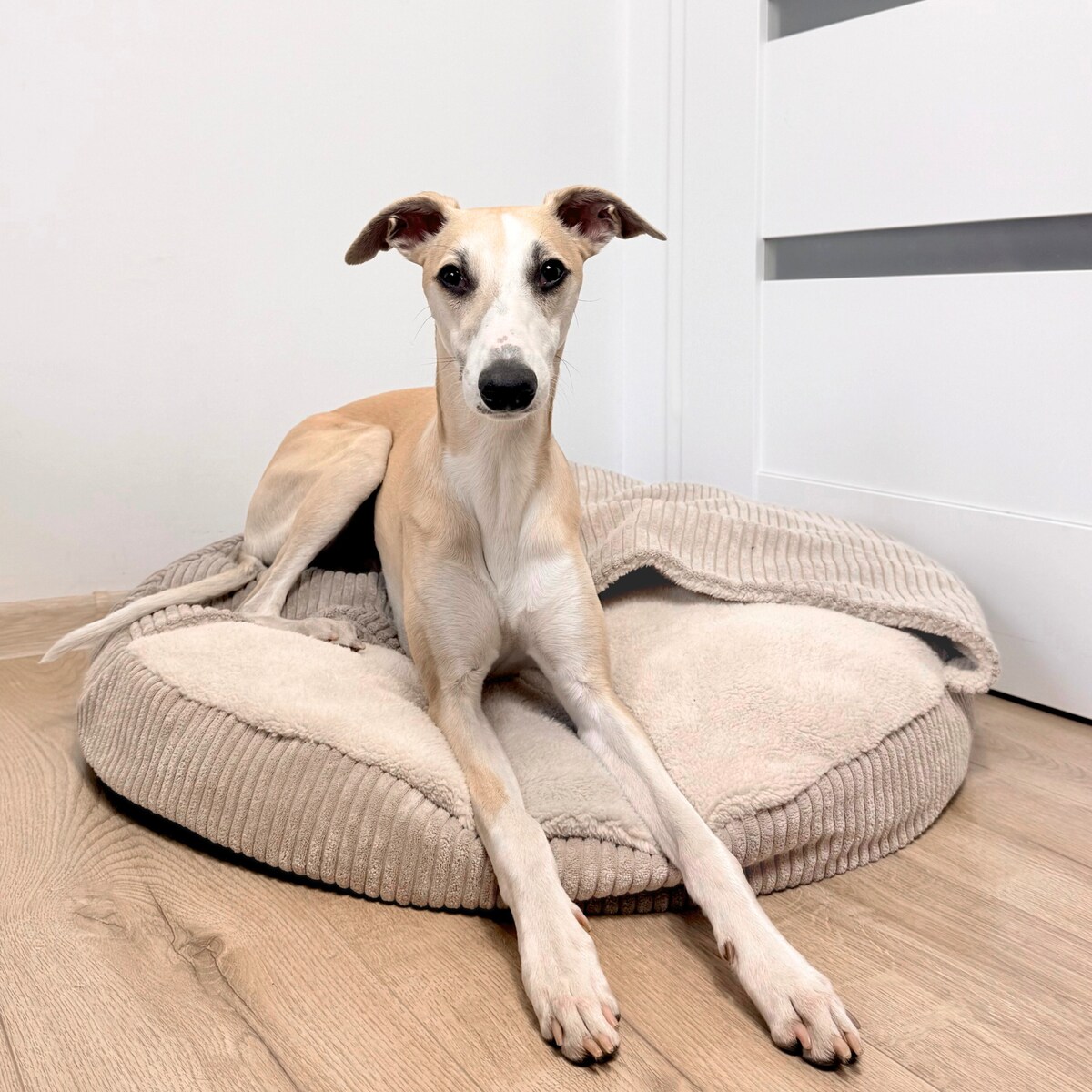 Legowisko z kapturem VIGO, 90 cm, Beż