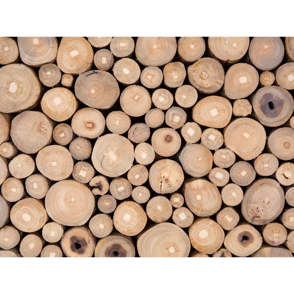 Drewniana dekoracja ścienna TWIG