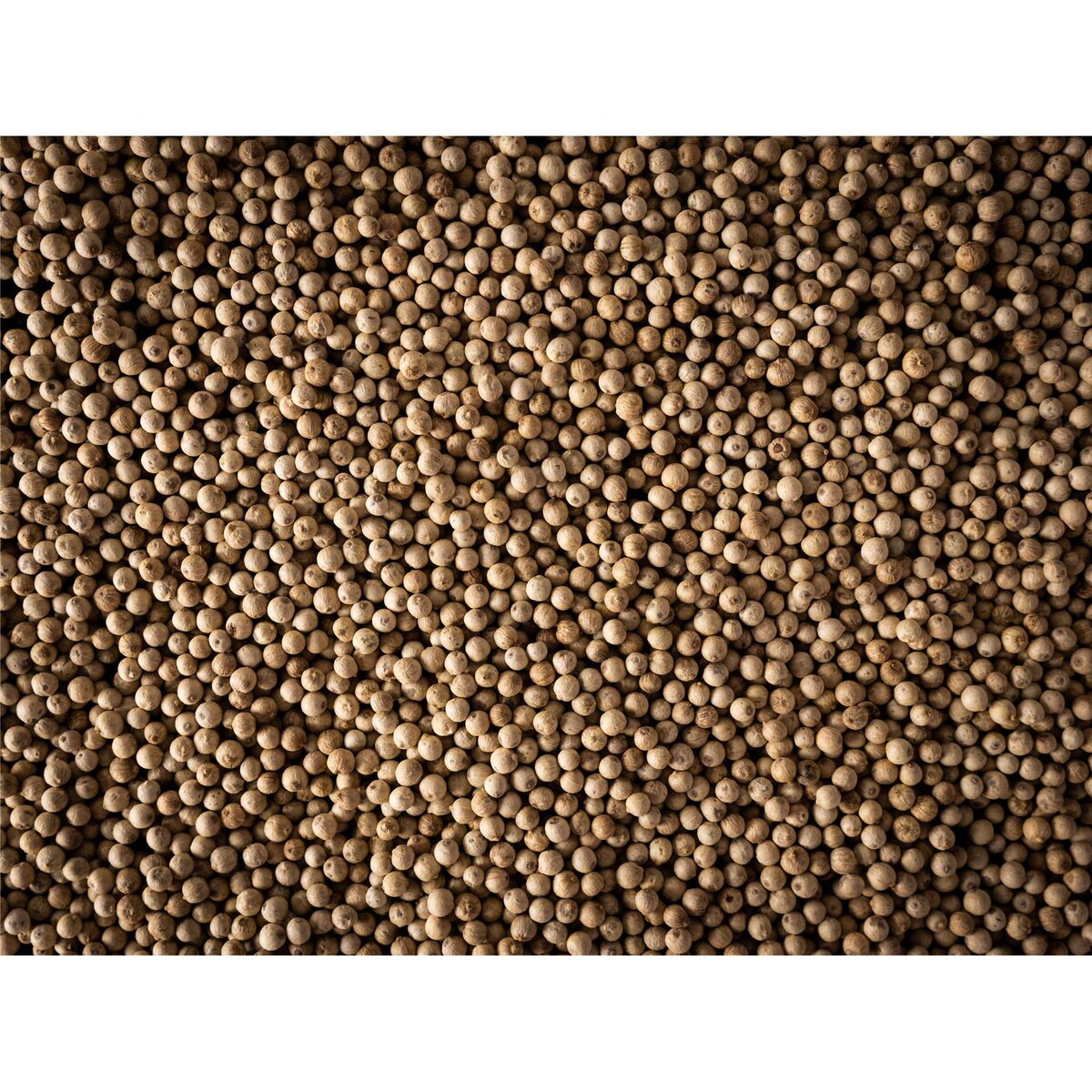 SIKARA Pieprz biały Madagaskar 60 g / PEUGEOT