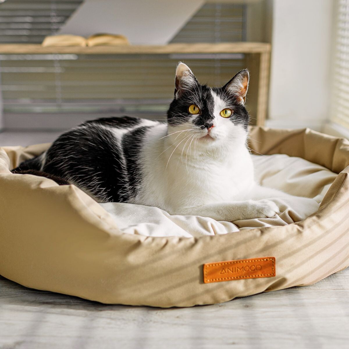 Animood Legowisko Mia rozmiar: M, kolor: beżowy, materiał: kodura/welur
