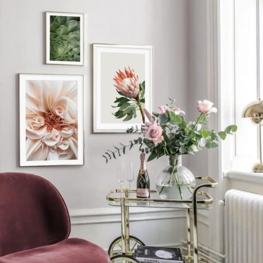 Poster Story, Plakat, Obraz - Protea Królewska, wymiary 42 x 60 cm