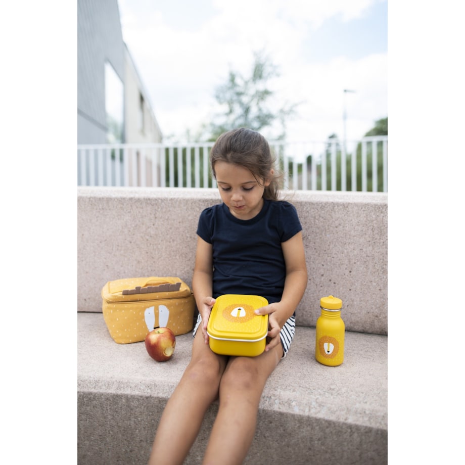 Mały stalowy lunch box - Lew Trixie Baby