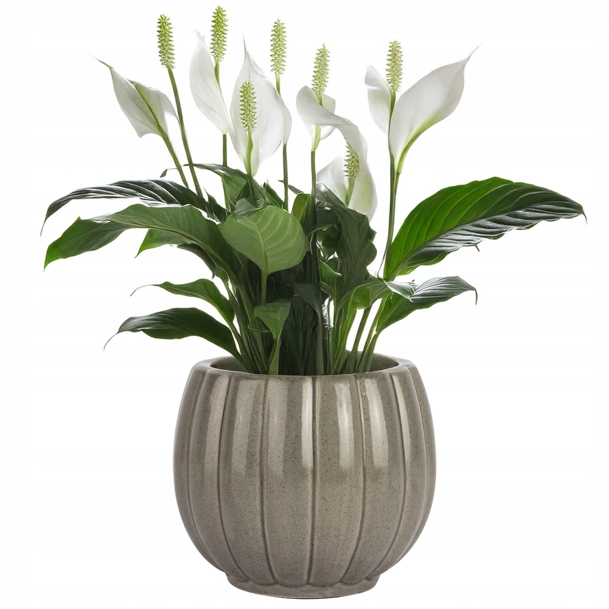 DONICZKA NA ZIOŁA KWIATY MAŁA SZARA 13cm połysk ceramiczna osłonka do domu