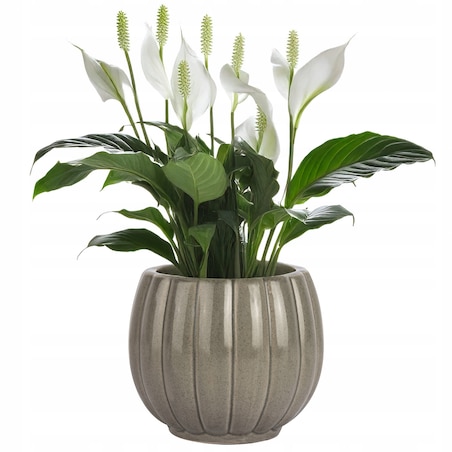 DONICZKA NA ZIOŁA KWIATY MAŁA SZARA 13cm połysk ceramiczna osłonka do domu