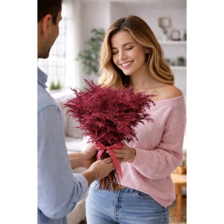 Asparagus Bordeaux – bukiet 50 szt., wysokość ok. 80 cm, 550–600 g