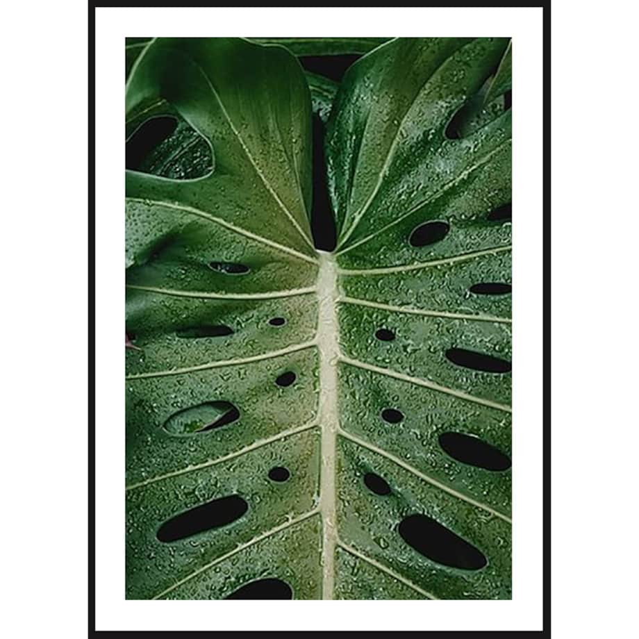 Poster Story, Plakat, Obraz - Liść z Dziurami, wymiary 21 x 30 cm