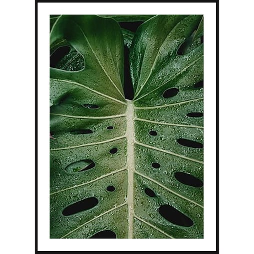 Poster Story, Plakat, Obraz - Liść z Dziurami, wymiary 21 x 30 cm