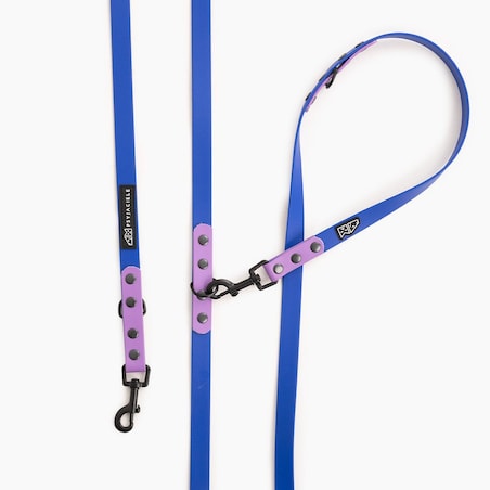 Smycz przepinana Biothane® dla psa lub kota "Indygo with lilac" - Rozmiar: M, Szerokość taśmy: 19mm