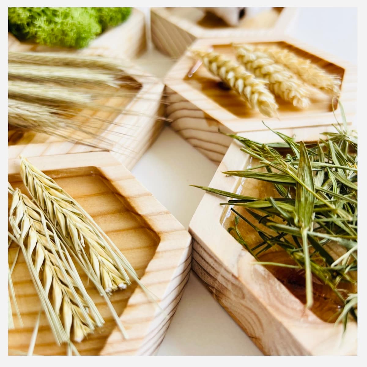 Dyski sensoryczne ZIELONO MI